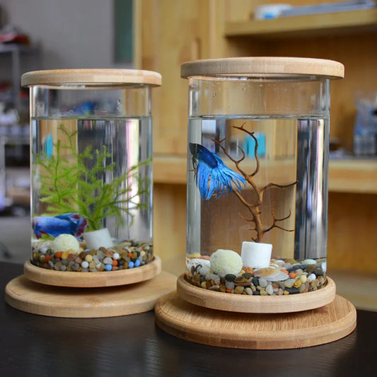 Mini Glass Fish Tank